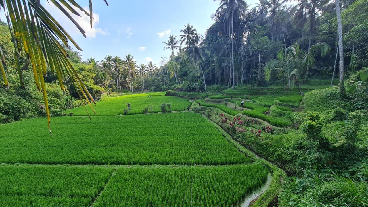 Villa Tirta Sari Tampaksiring Exterior foto